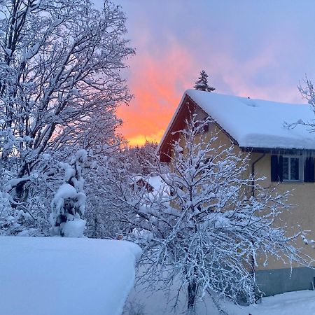 Ferienwohnung Haus Am Bach In Toggenburg Wildhaus Exteriör bild