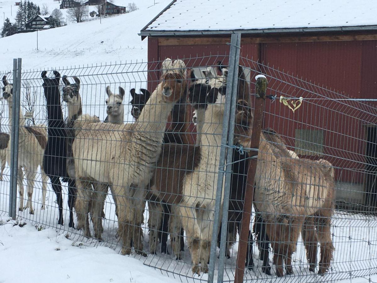 Ferienwohnung Haus Am Bach In Toggenburg Wildhaus Exteriör bild