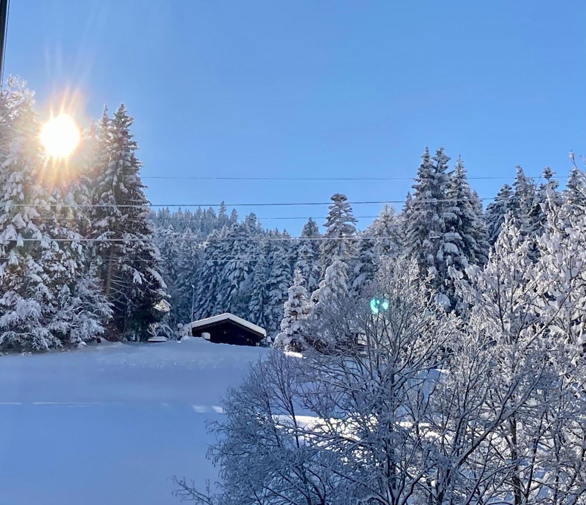 Ferienwohnung Haus Am Bach In Toggenburg Wildhaus Exteriör bild