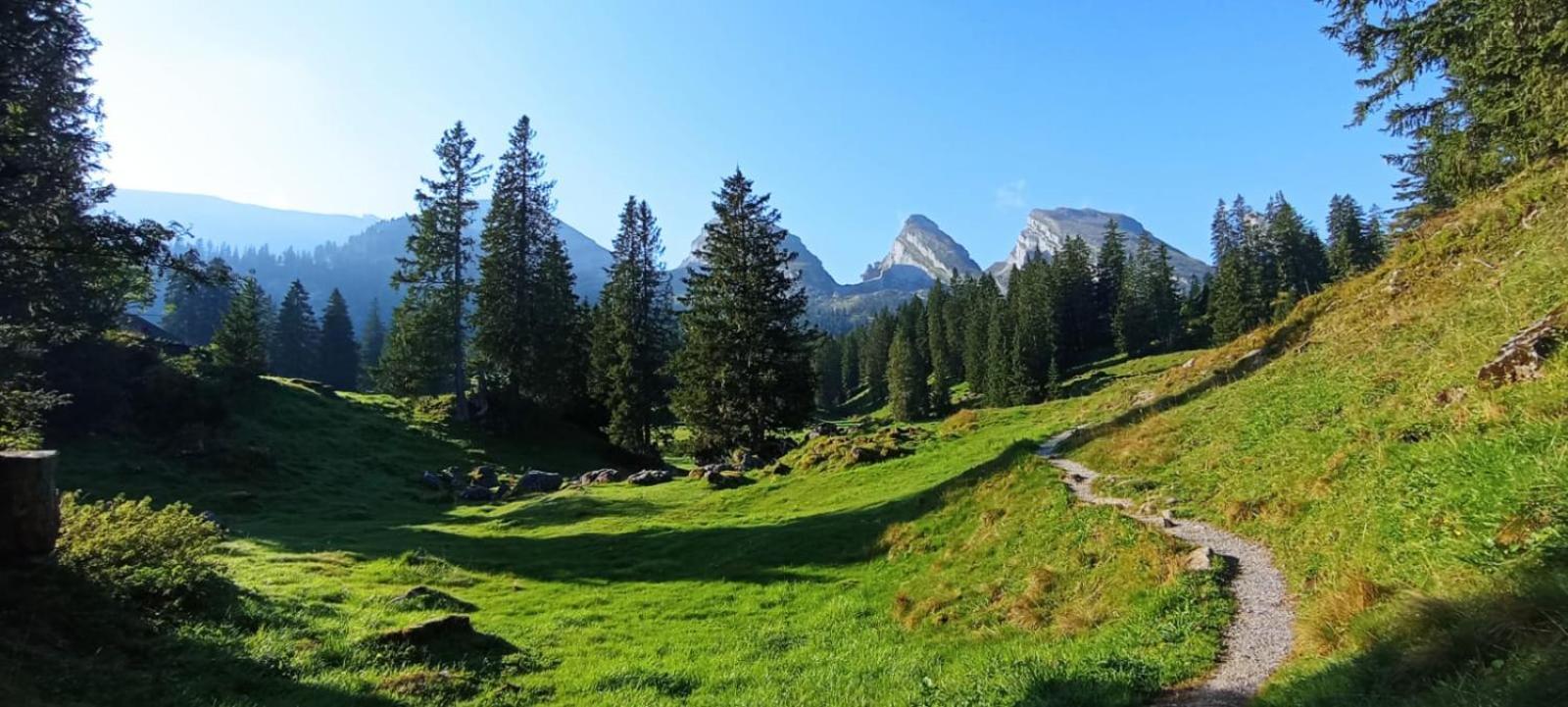 Ferienwohnung Haus Am Bach In Toggenburg Wildhaus Exteriör bild